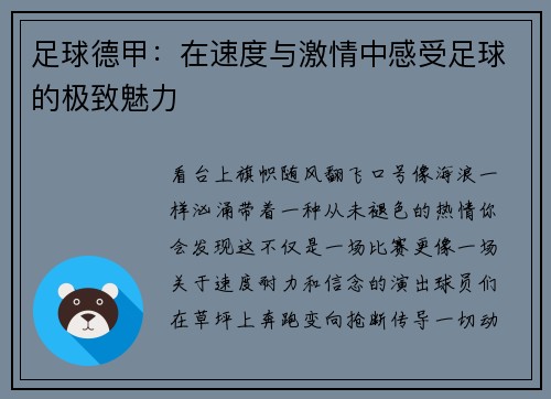 足球德甲：在速度与激情中感受足球的极致魅力